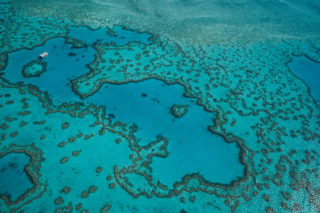Reef Restoration